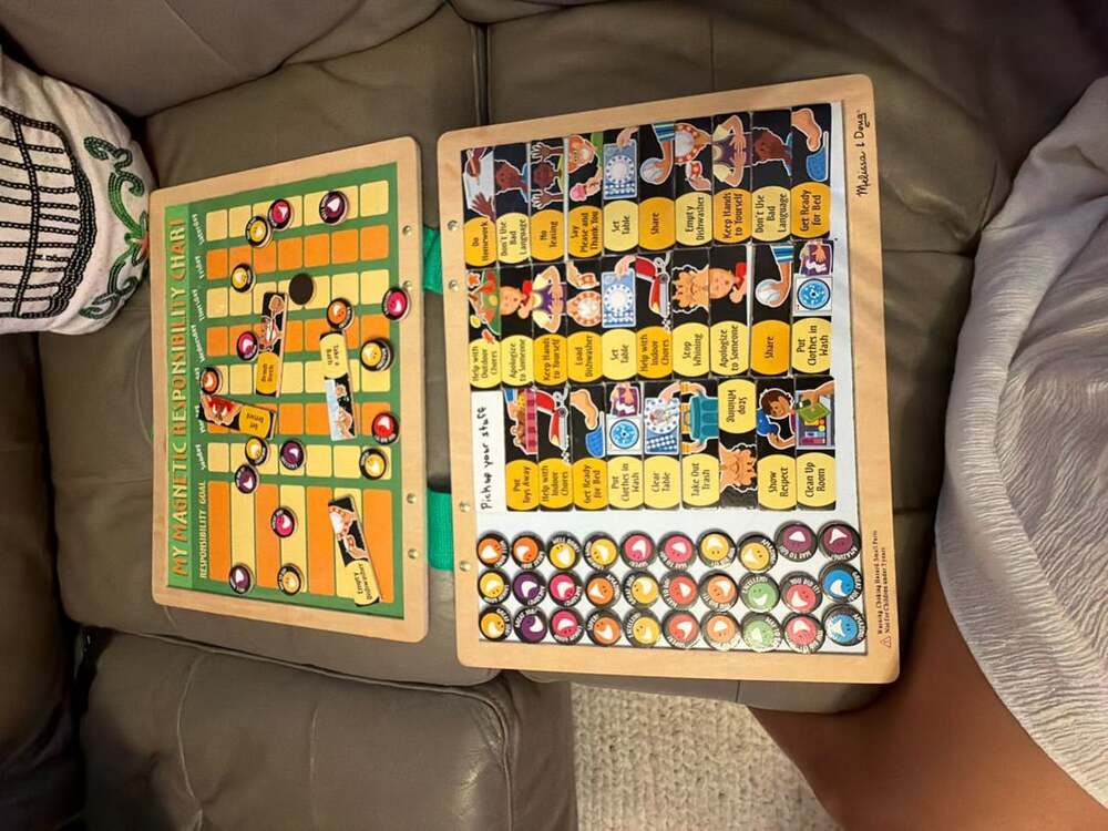 Melissa & Doug My Magnetic Responsibility Chart